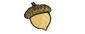 Update2015/acorn.jpg